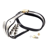 Dual Plug Female Chastity Belt Male Chastity
